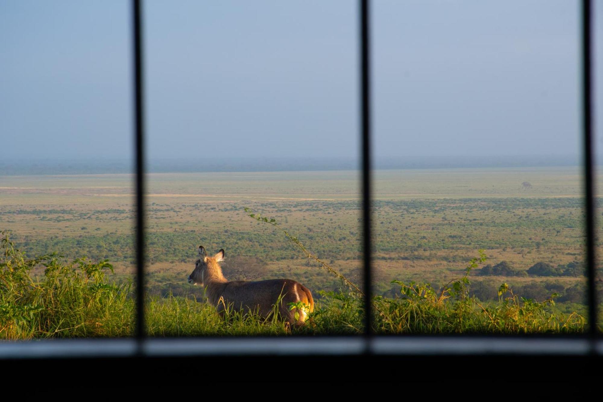 Voi Safari Lodge Exterior foto