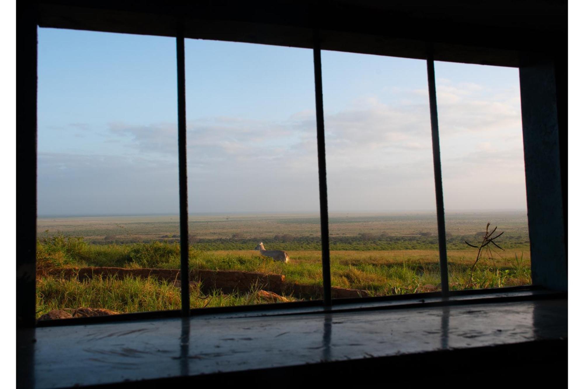 Voi Safari Lodge Exterior foto